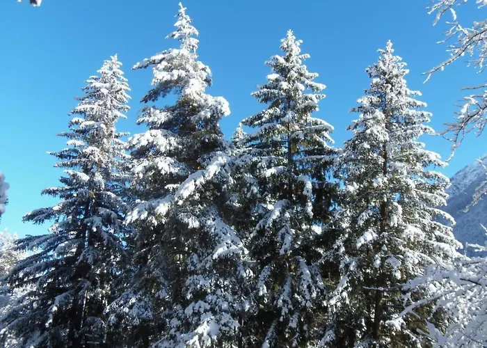 Alte Typische Engadinermuehle By Interhome Casa de Férias Crusch