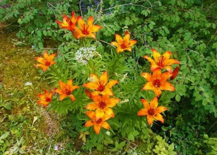 Alte Typische Engadinermuehle By Interhome Сasa de vacaciones